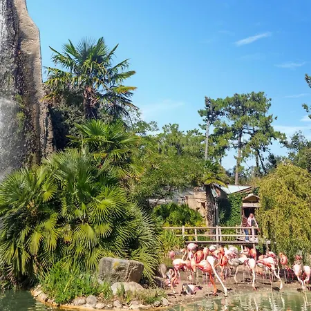Awesome Home In Saint-Denis-D'Oleron With Wifi Ferienhaus